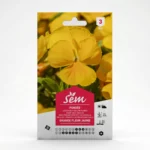Semance Pensée grande fleur jaune Agriclic.tn