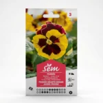 Semance Pensée géante de Suisse jaune rouge Agriclic.tn