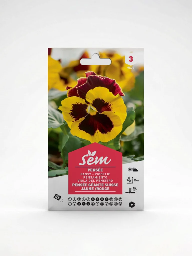 Semance Pensée géante de Suisse jaune rouge Agriclic.tn