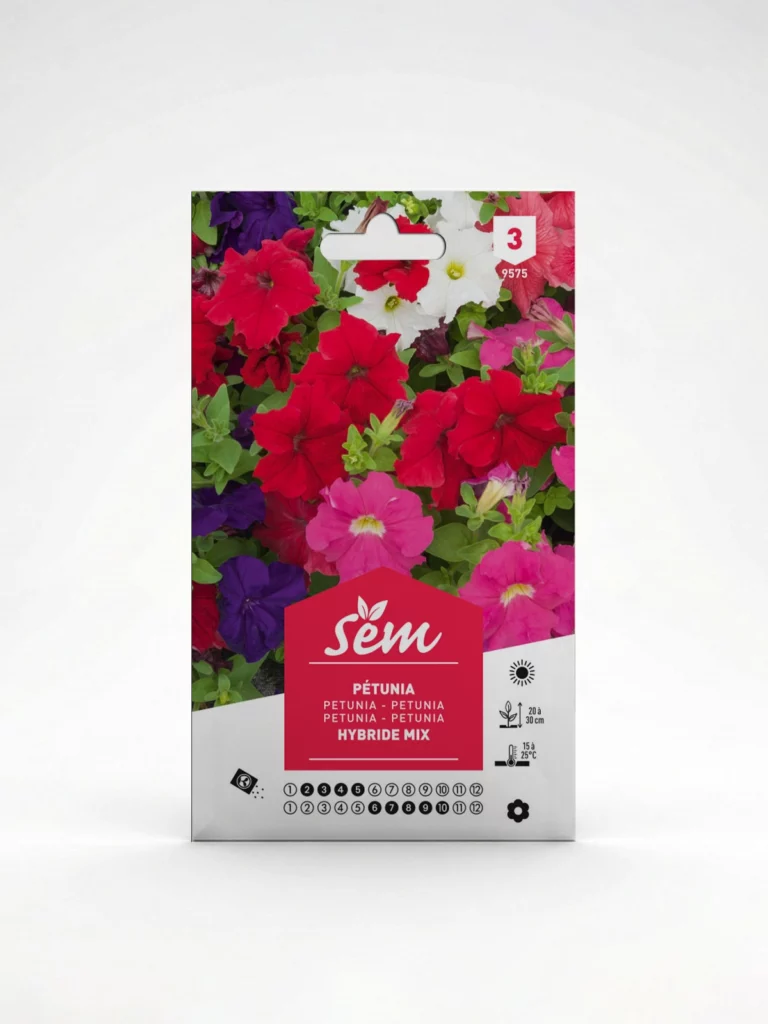 Semance Pétunia hybride mix Agriclic.tn