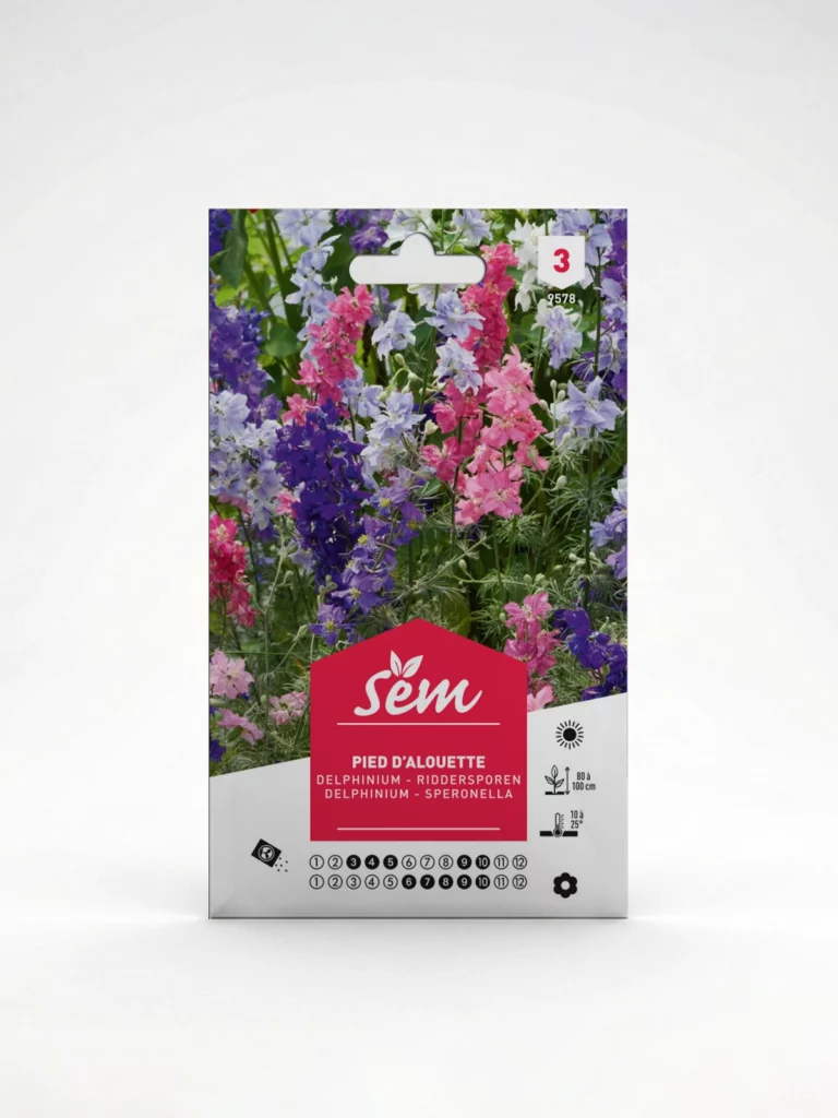 Semance Pied d'Alouette Agriclic.tn