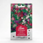 Semance Pois de senteur Agriclic.tn