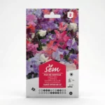 Semance Pois de senteur spencer Agriclic.tn