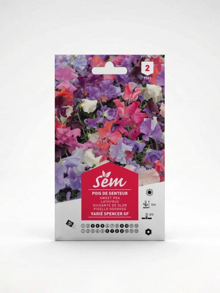 Semance Pois de senteur spencer Agriclic.tn