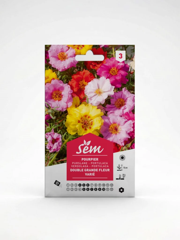 Semance Pourpier double grande fleur variée Agriclic.tn