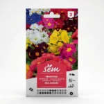 Semance Primevère des jardins Agriclic.tn