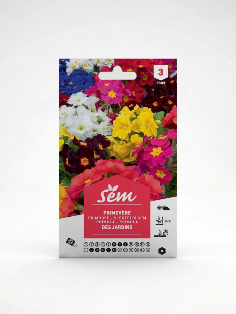 Semance Primevère des jardins Agriclic.tn