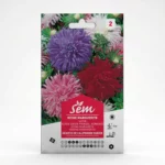 Semance reine marguerite de californie Agriclic.tn