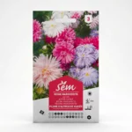 Semance Reine marguerite plume d'autruche Agriclic.tn