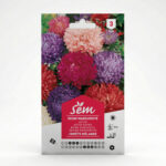 Semance reine marguerite comète en mélange Agriclic.tn