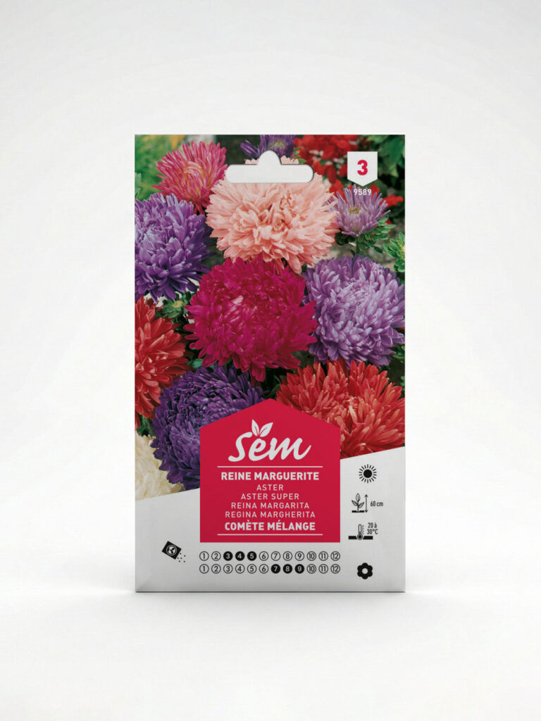 Semance reine marguerite comète en mélange Agriclic.tn