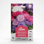 Semance Reine marguerite reine des Halles Agriclic.tn