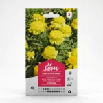 Semance Rose d'Inde cupidon Agriclic.tn