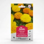 Semance Rose d'Inde grande variée Agriclic.tn