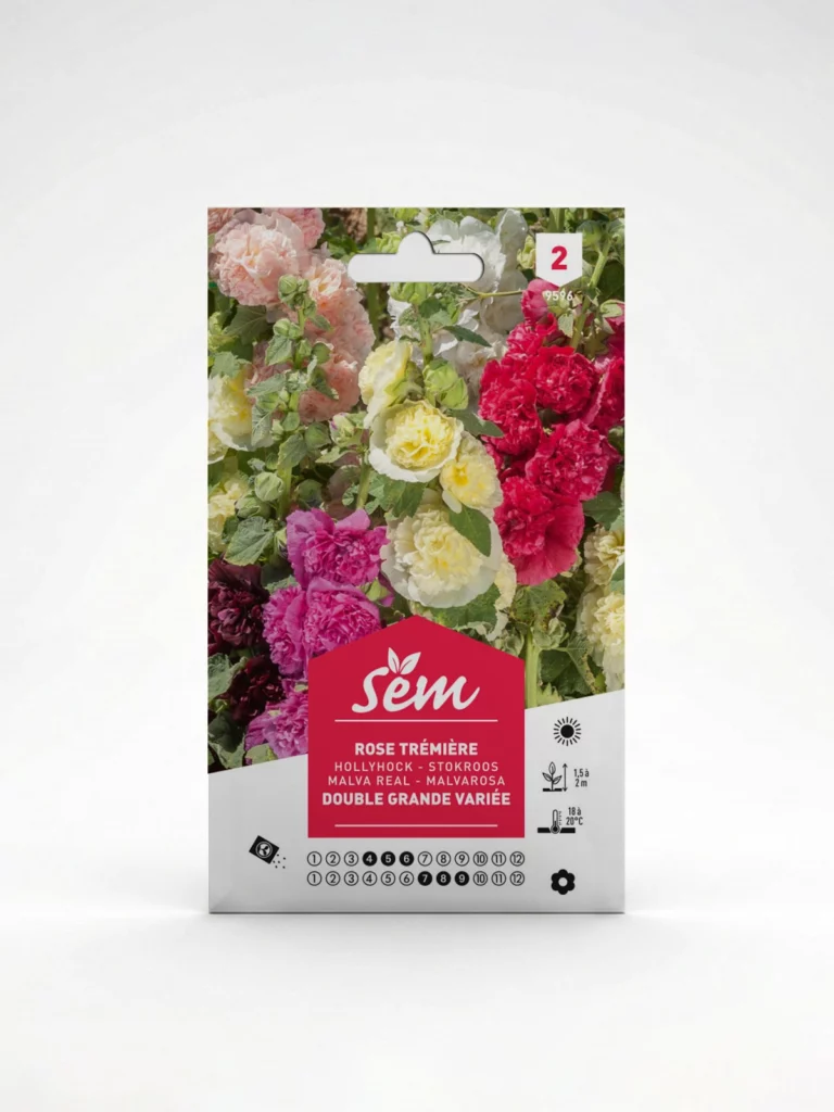 Semance Rose trémière Agriclic.tn