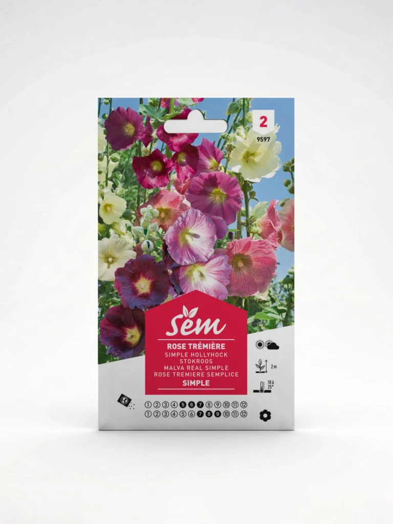 Semance Rose trémière simple Agriclic.tn