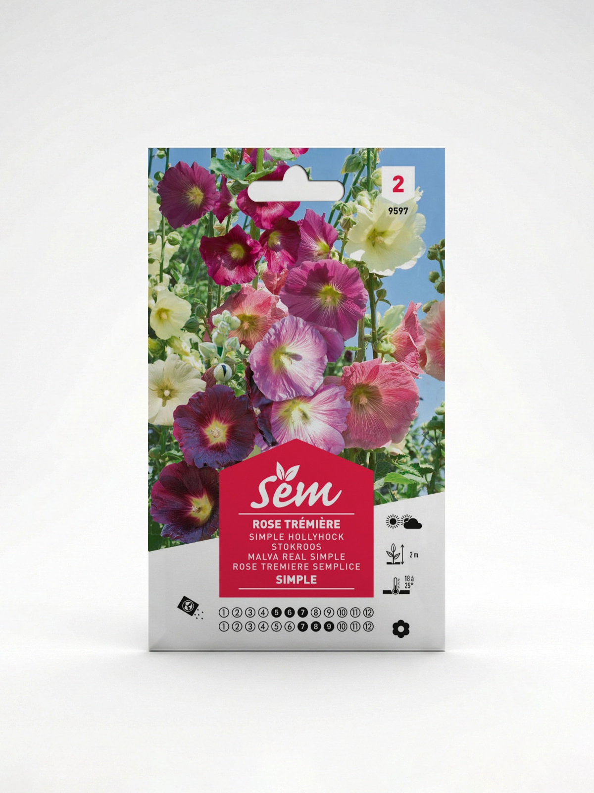 Semance Rose trémière simple Agriclic.tn Semance Rose trémière simple Agriclic.tn