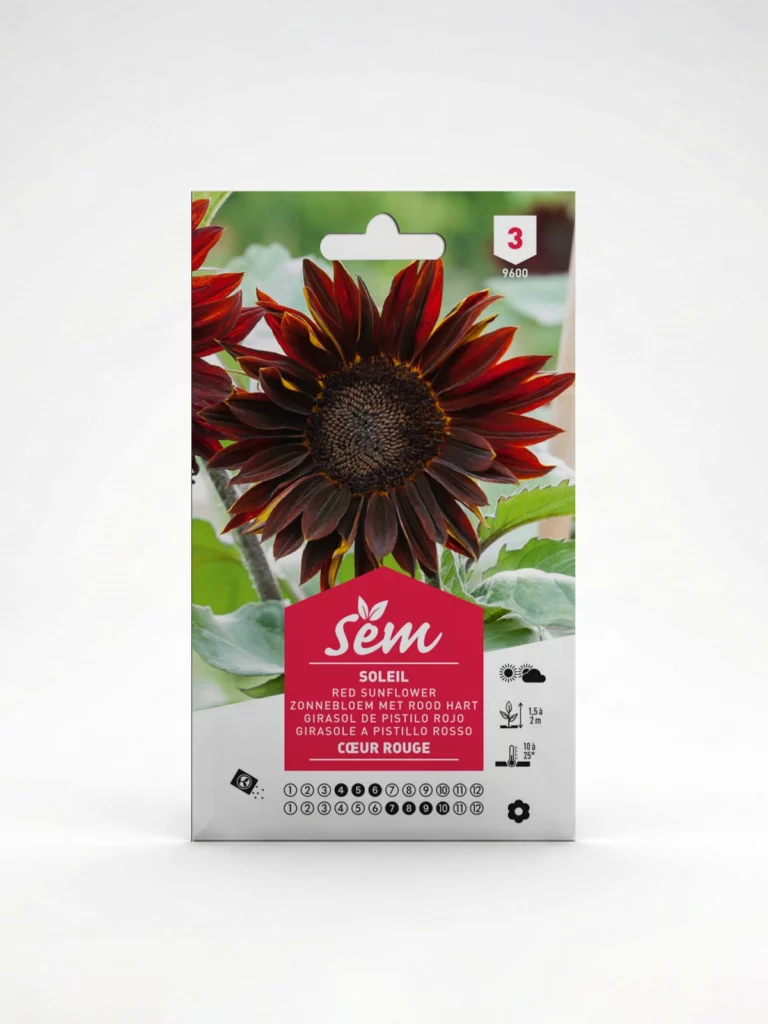 Semance Soleil coeur rouge Agriclic.tn