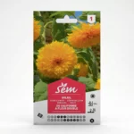 Semance Soleil de Californie à fleur boule Agriclic.tn