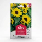 Semance Soleil nain coeur noir Agriclic.tn