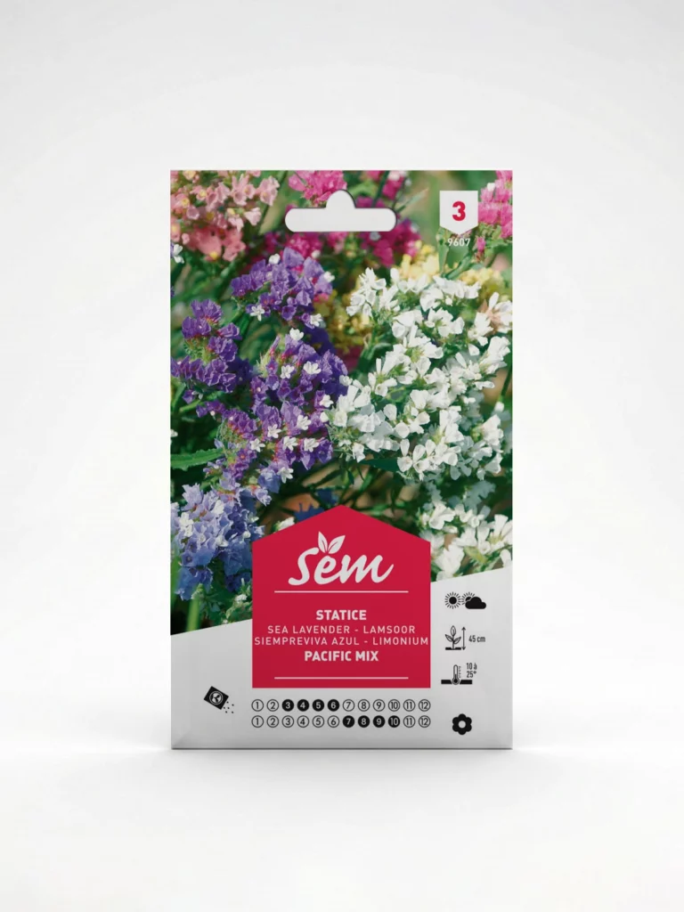 Semance Statice Agriclic.tn