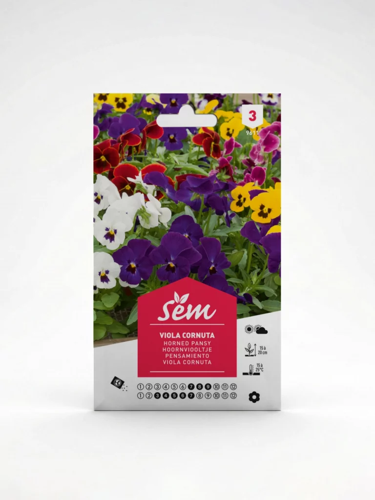 Semance Viola Cornuta Agriclic.tn