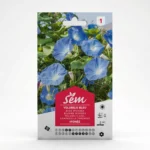 Semance Volubilis à fleur bleue Agriclic.tn