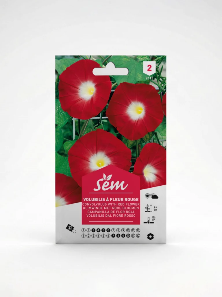 Semance Volubilis à fleur rouge Agriclic.tn