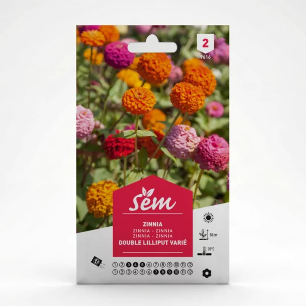 Semance Zinnia double lilliput Agriclic.tn