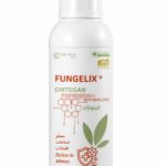 Fungelix Chitelix Chitosane