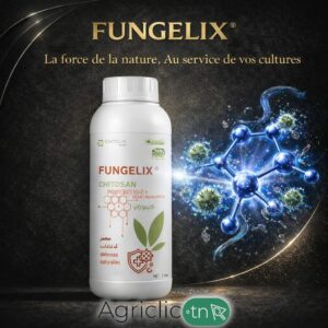 Fungelix Agriclic.tn