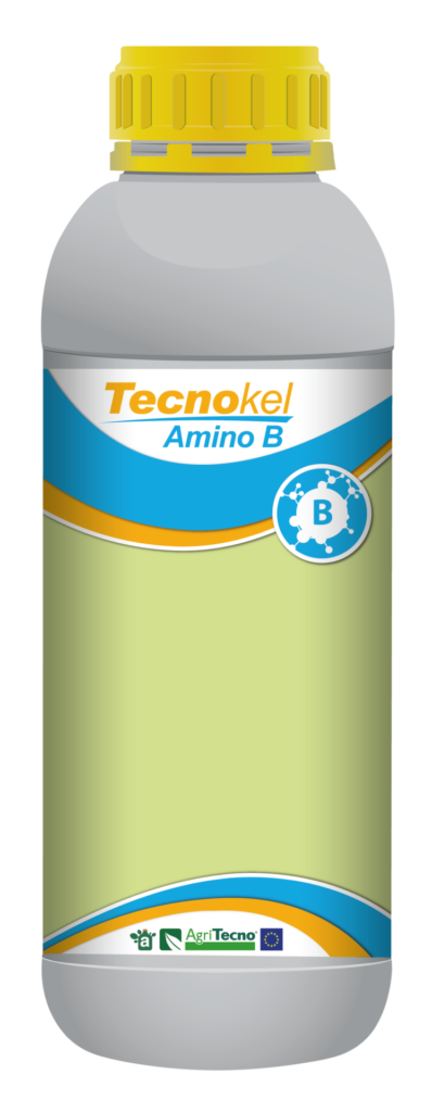 Tecnokel Amino B