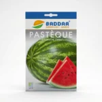 pastèque crimson sweet M Agriclic.tn