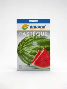 pastèque crimson sweet M Agriclic.tn