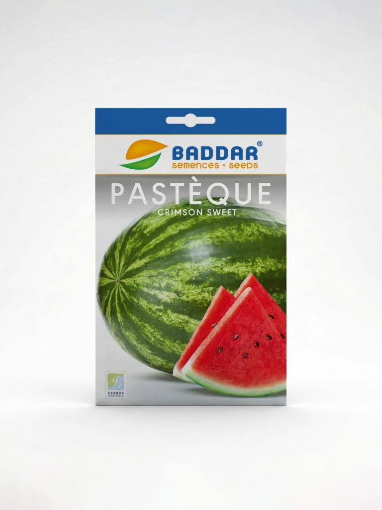 pastèque crimson sweet M Agriclic.tn
